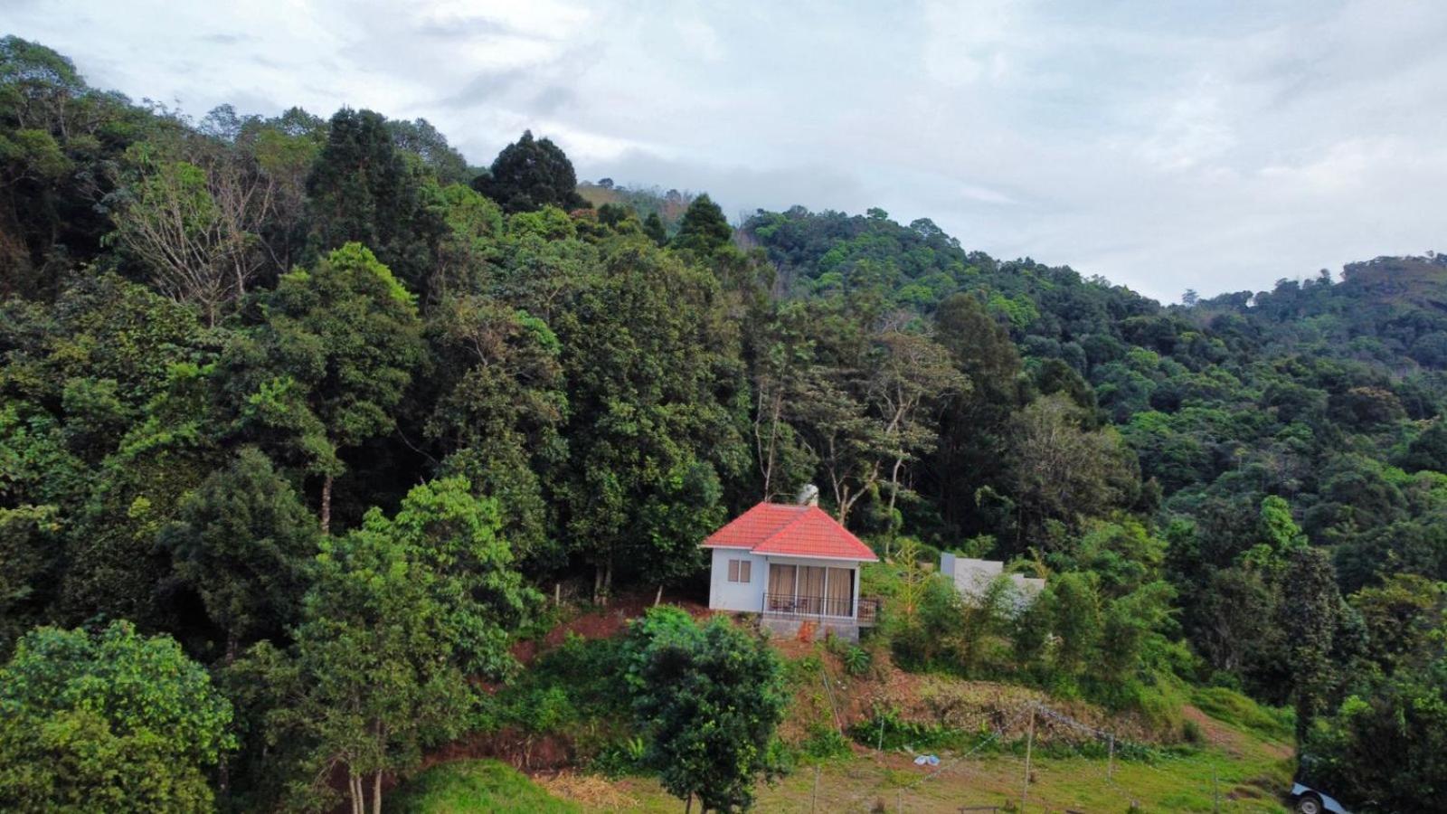 Misty Hideout Bed & Breakfast Kakkadampoyil Luaran gambar