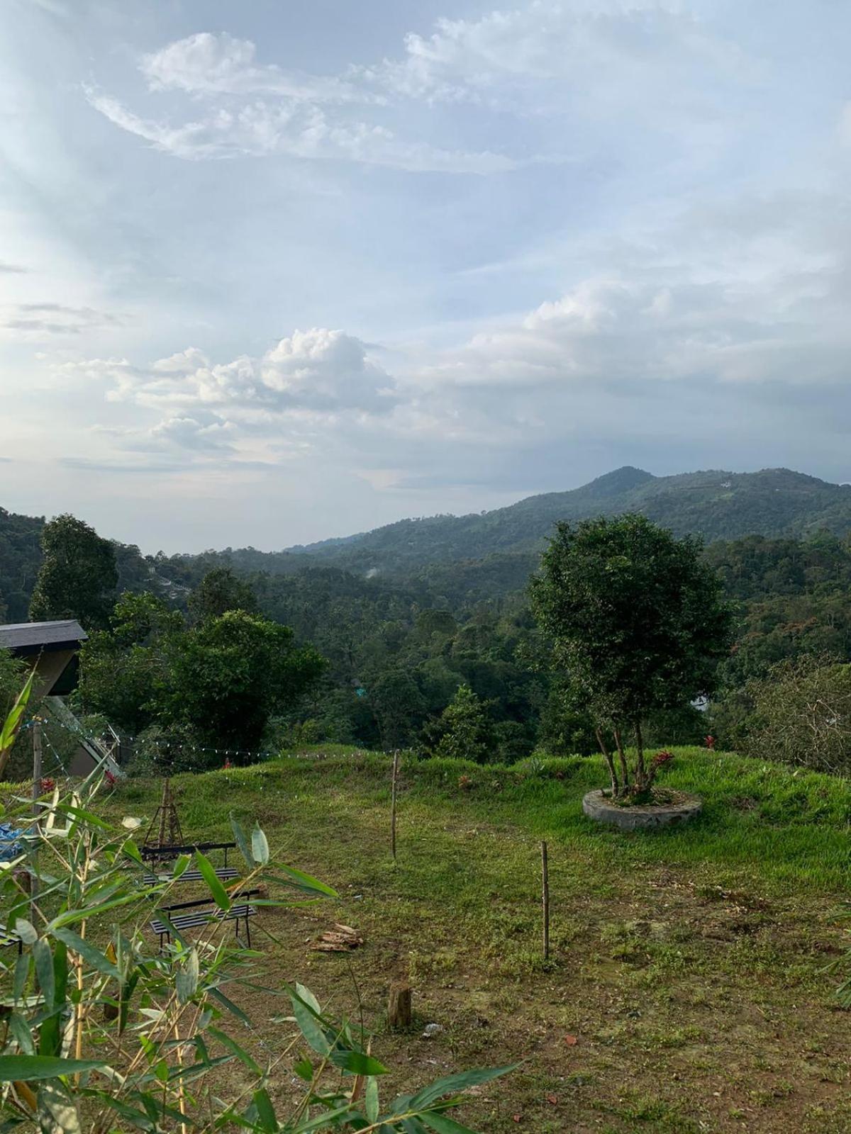 Misty Hideout Bed & Breakfast Kakkadampoyil Luaran gambar