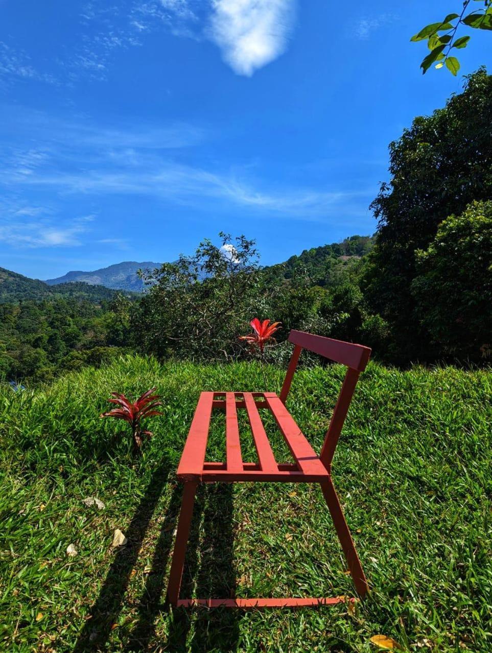 Misty Hideout Bed & Breakfast Kakkadampoyil Luaran gambar
